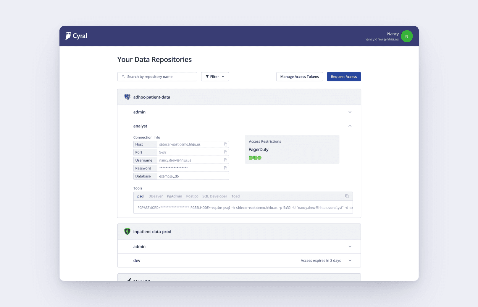 Cyral Data Access Portal interface detail